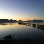 Profile Picture of Robert Marcus Alfaro (@patrickmarcus) on Instagram