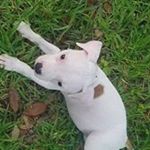 Profile Picture of Bradley Robillard (@bradleyrobillard) on Instagram