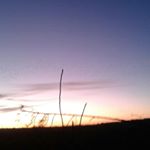 Profile Picture of ONeal Smith (@nitti1284) on Instagram