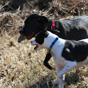 Profile Picture of David Byerley (@davidbyerley2640) on Youtube