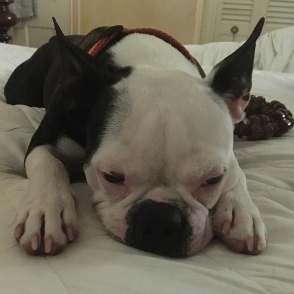 Profile Picture of Sandra Patocka (@starr1801) on Poshmark