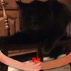 Profile Picture of kingjul (@@julianhardy11) on Tiktok