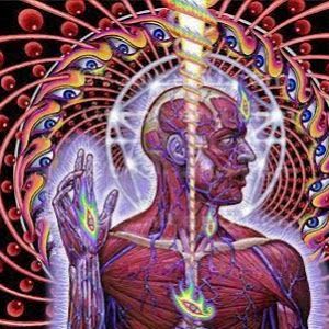 Profile Picture of jeffhaas6 (@jeffhaas6) on Tiktok