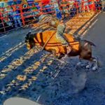 Profile Picture of Gustavo Aguirre (@gustavo_aguirre.13) on Instagram