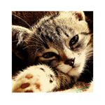 Profile Picture of Anne Hagemann (@anne.hagemann.98) on Instagram