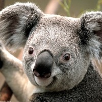 Profile Picture of Holly Weber (@holly-weber-5) on Quora