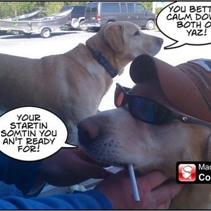 Profile Picture of Dewayne Holt (@369168462) on Myspace