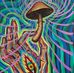Profile Picture of Danny Mushroom (@danny.mushroom.5) on Facebook