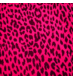 Profile Picture of Ruby Wallace (@ruby_1000) on Twitter