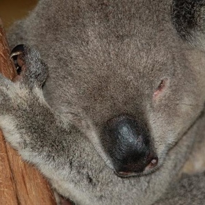 Profile Picture of Richard Summerfield (@144394679) on Myspace