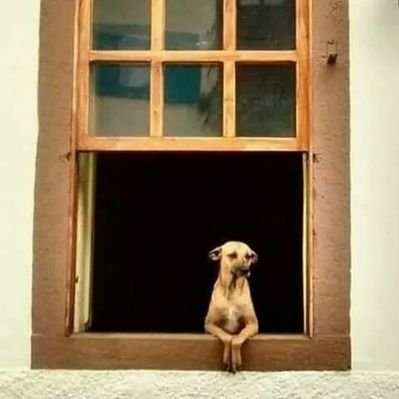 Profile Picture of Carlos Cerén (@CarlosCern20) on Twitter