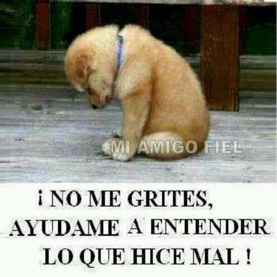 Profile Picture of Rocio Caro (@rociocaro205) on Twitter