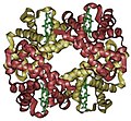 Profile Picture of Hemoglobin Lepore syndrome - Wikipediaon Wikipedia