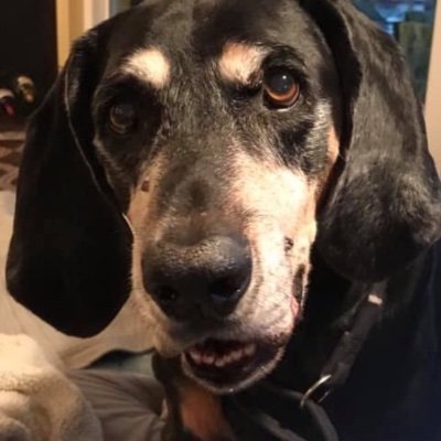 Profile Picture of Pat Skinner (@PatSkin06290221) on Twitter