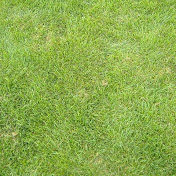 Profile Picture of Steven Montez (@speedynba3) on Youtube