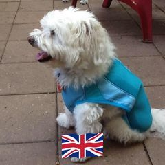 Profile Picture of Bramble (@bramble752) on Tiktok