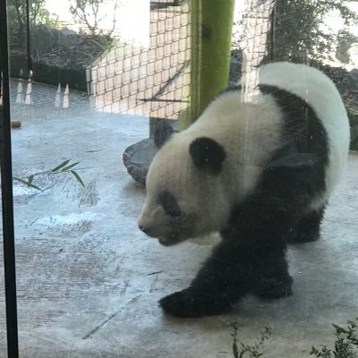 Richard Wakeman - Twitter Profile Picture of Richard Wakeman (@RichardWakeman1) on Twitter