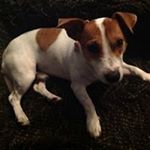 Profile Picture of Kim De Britt (@kimdebritt) on Instagram