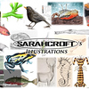 Profile Picture of Sarah Corda Illustrations (@sarahcroftsillustrations) on Flickr