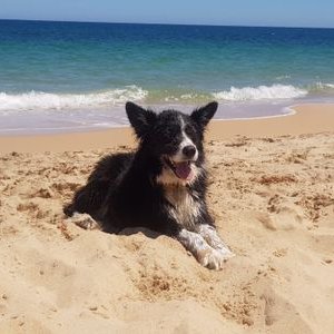 Profile Picture of Keith Yardley (@keith_yardley) on Twitter