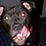 Profile Picture of Kenny Smith (@valpoboyz_kenny) on Flickr