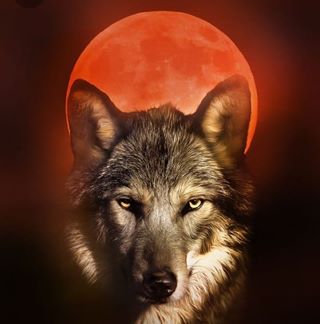 Profile Picture of Carlos Coral (@carlos.coral.31105) on Facebook
