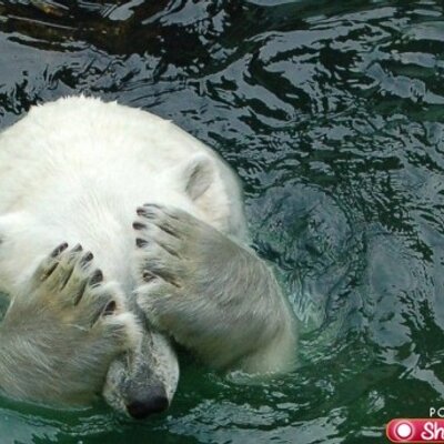 Profile Picture of William Provencher (@culgrad1) on Twitter