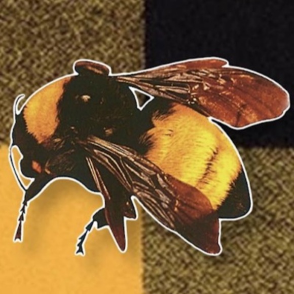 Profile Picture of Ian Atkins (@the_clothing) on Poshmark