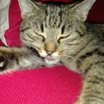 Profile Picture of steve 17 (@ruffino_stefano) on Instagram