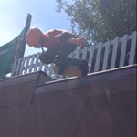 Profile Picture of Michael Marshman (@m.1cha3l_9) on Instagram