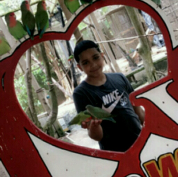 Profile Picture of Joel Jerez (@jrzjoel) on Poshmark