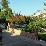 Profile Picture of Vlasta Stupavski (@vlastastupavski) on Instagram