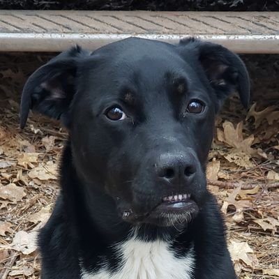 Profile Picture of Scott Wolter (@scottwolter) on Twitter