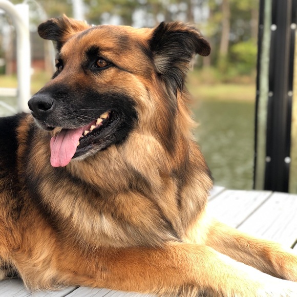 Profile Picture of Jillian Sweeney (@jsween213) on Poshmark