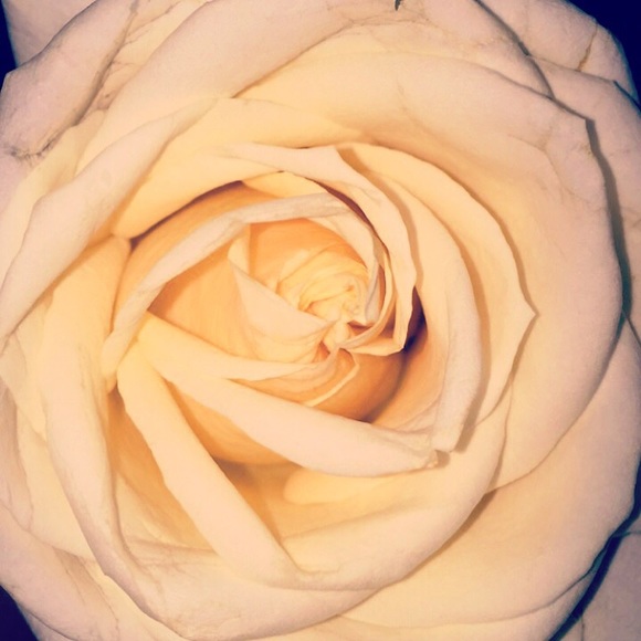 Profile Picture of Chiara Forschen (@chiara_forschen) on Poshmark