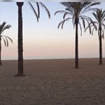 Profile Picture of Javier Aldape (@javiertsu_8) on Instagram