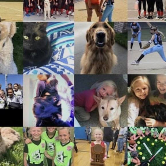 Isabella Pecchio - Poshmark Profile Picture of Isabella Pecchio (@isabellapecchio) on Poshmark