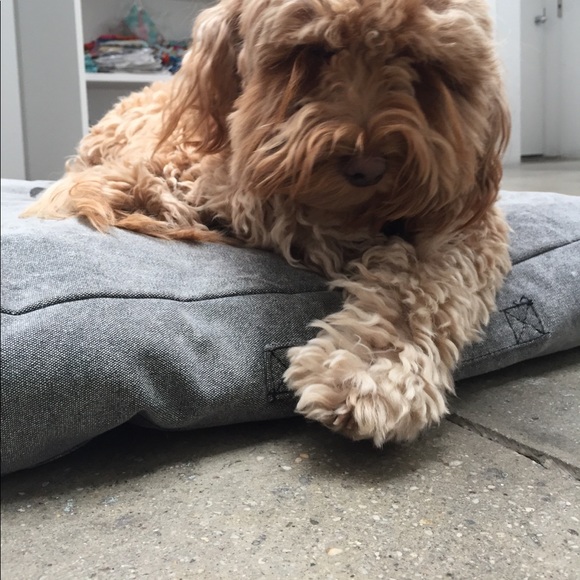 Profile Picture of Sandy Tabatznik (@sandyt3) on Poshmark