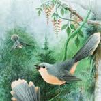 Profile Picture of Sanjay Person Ne (@Sanjay-Person-Ne) on Facebook