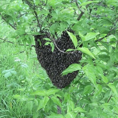 Profile Picture of Thomas Ruppel (@bdde30be732a443) on Twitter