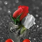 Profile Picture of Robert Davis (@Robert-Davis) on Facebook