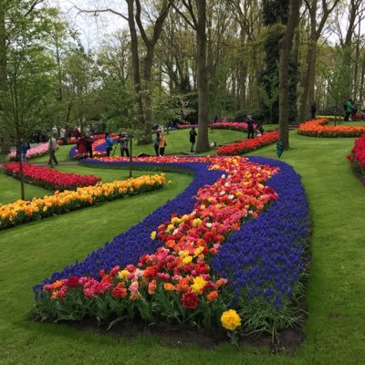 Profile Picture of Dave Parnham (@DaveParnham) on Twitter