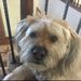 Profile Picture of Tamara Engelhardt (@4runner) on Pinterest