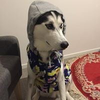 Profile Picture of Xuanqi Zhang (@xuanqi-zhang-2) on Quora