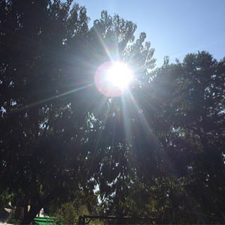 Profile Picture of Lisa Barnhouse (@lisa.barnhouse.33) on Facebook