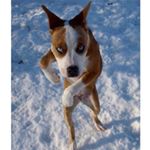 Profile Picture of Chris Templeton (@chris.templeton2000) on Instagram