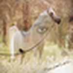 Profile Picture of Mzyo0on_liwa (@mzyo0on_liwa) on Flickr