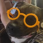 Profile Picture of Casey HollisSalvio (@Casey-Hollis-Salvio) on Facebook