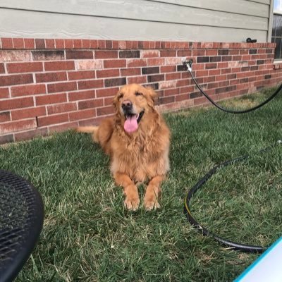 Profile Picture of Eric In Broken Arrow (@ecline) on Twitter