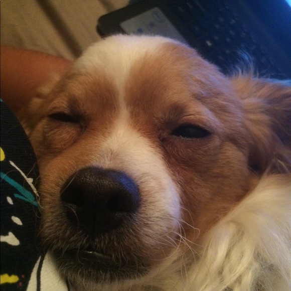 Profile Picture of Amelia Baratier (@acarb11) on Poshmark